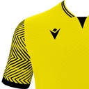 50680509_03.jpg