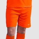 420002-3000-03.jpg