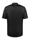 101401002_12-back.jpg
