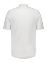 Felipe White_Back.jpg