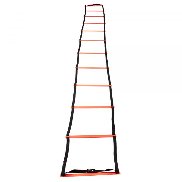 Training Ladder