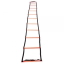 Training Ladder