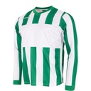 Aspire Long Sleeve Shirt — Green-White