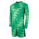 Vik Goalkeeper Set — Green-White