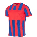 Aspire Shirt