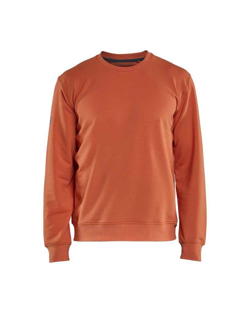 3596 Sweatshirt