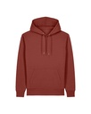 Cruiser 2.0 Hoodie Earthy Red