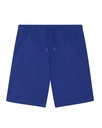Boarder Dry Shorts Worker Blue