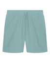 Trainer 2.0 Shorts Teal Monstera