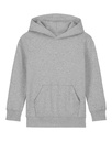 Mini Cruiser 2.0 Hoodie Heather Grey