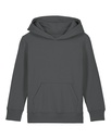 Mini Cruiser 2.0 Hoodie Anthracite