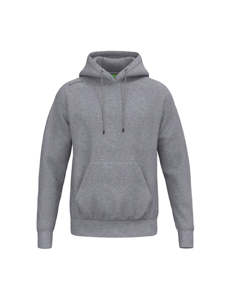 TS Hoody grijs