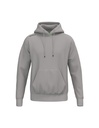 TS Hoody taupe
