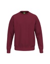 TS Sweatshirt new bordeaux