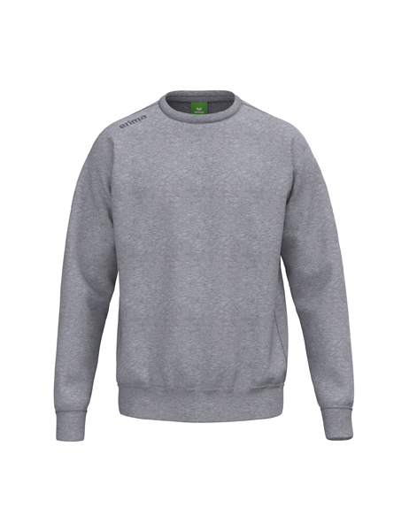 TS Sweatshirt grijs