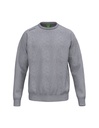 TS Sweatshirt grijs