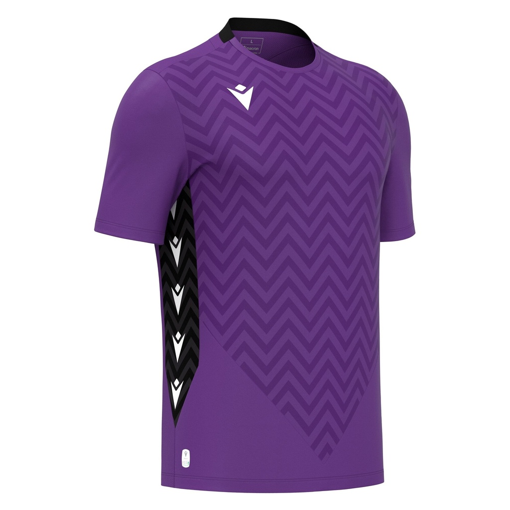 Scorpio — Purple