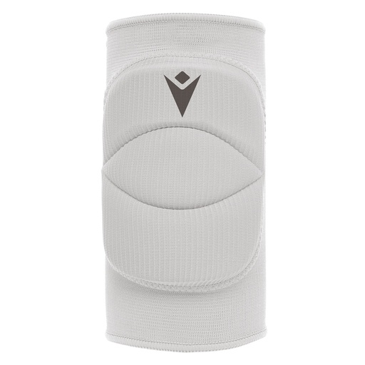 Tulip (6-pack) — White