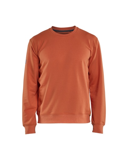 3596 Sweatshirt