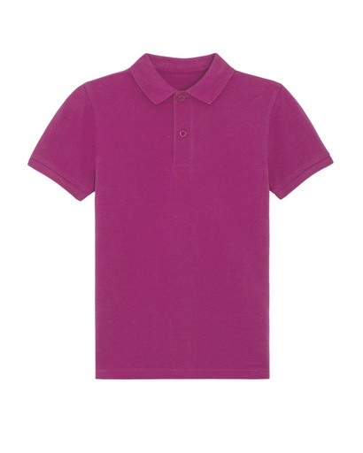 Mini Sprinter Polo Orchid Flower Orchid Flower