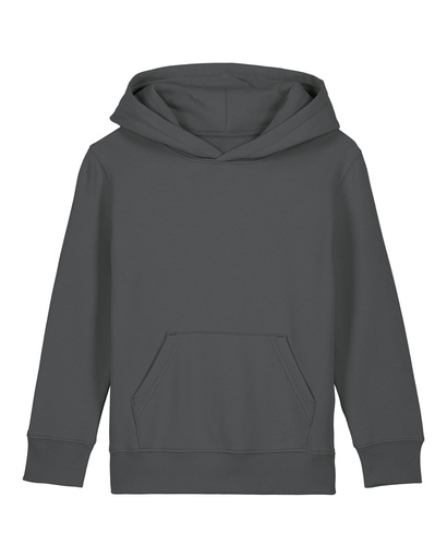 Mini Cruiser 2.0 Hoodie Anthracite Anthracite