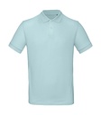 Inspire Polo /men Millenial Mint