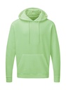 Hooded Sweatshirt Men Neo Mint