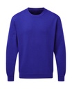Crew Neck Sweatshirt Men Royal Blue