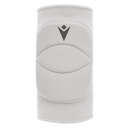 Tulip (6-pack) — White