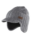 2067 Wintermuts