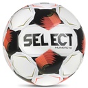 Select Numero 10