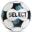 Select Numero 10
