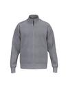 TS Sweatjacket grijs