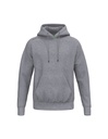 TS Hoody grijs